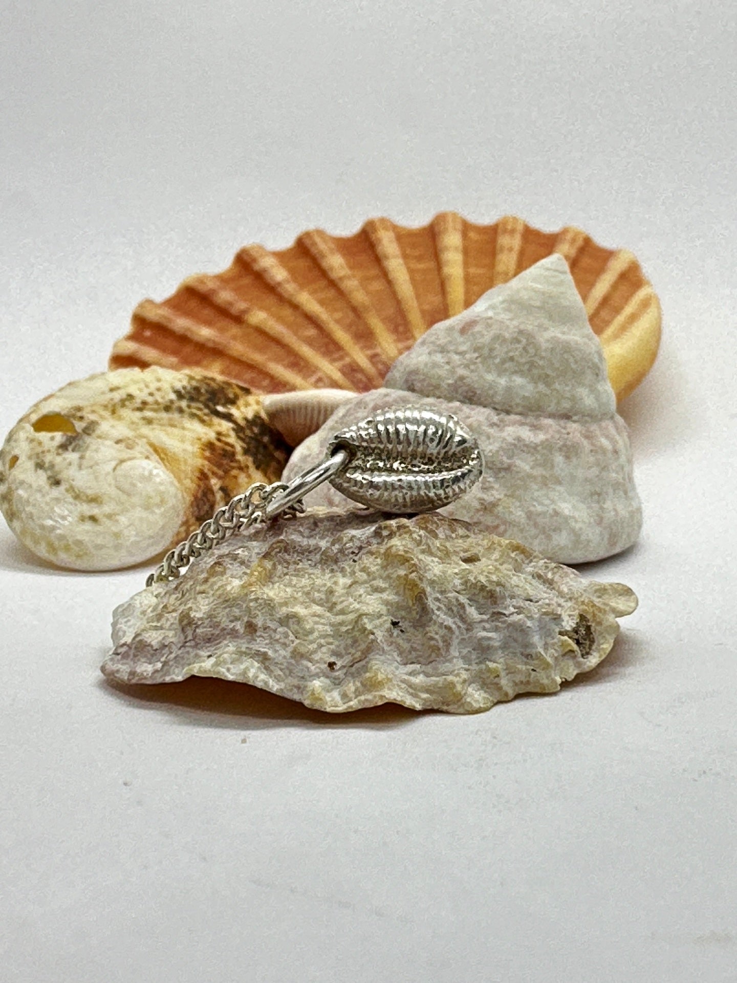 Cowrie Charm