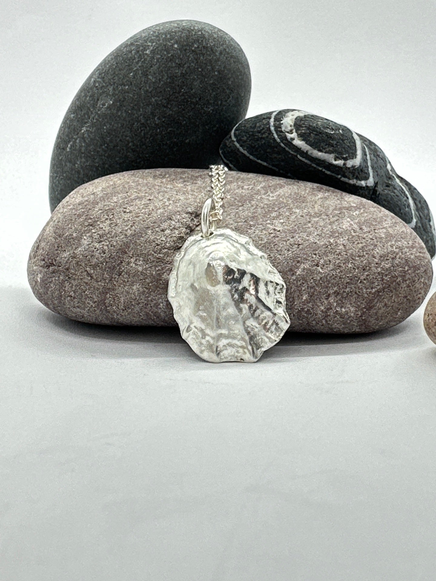 Large Limpet