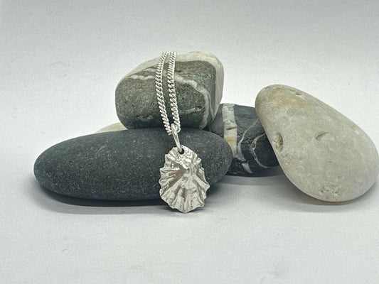 Limpet Charm