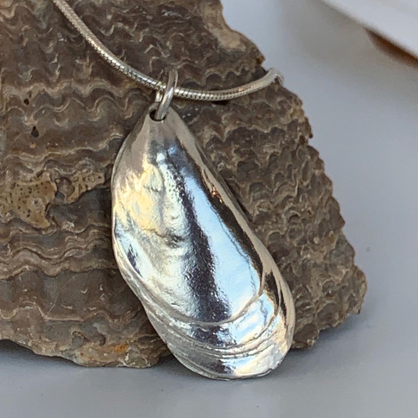 Large Mussel