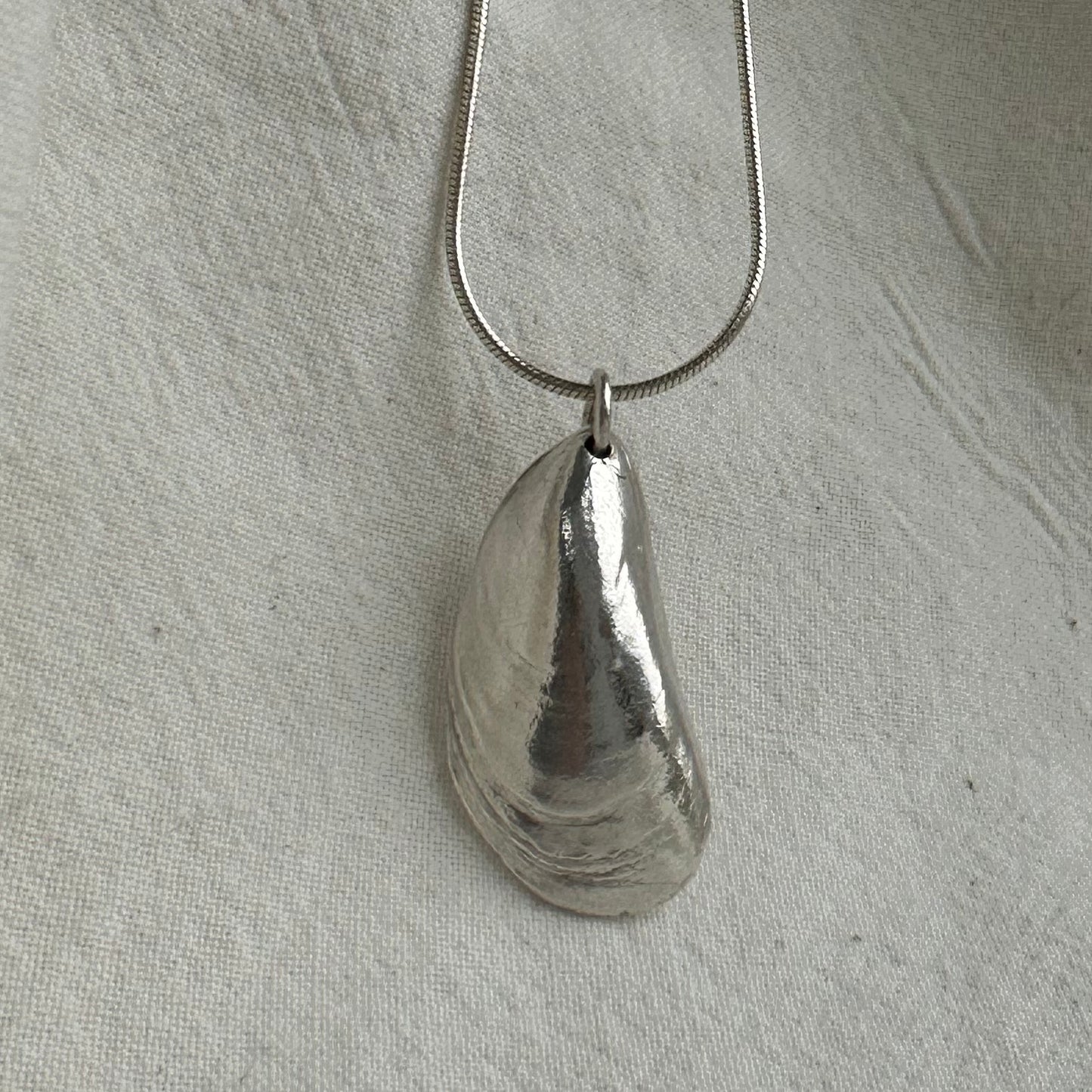 Large Mussel