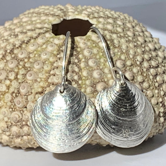 Scallop Drop Earrings