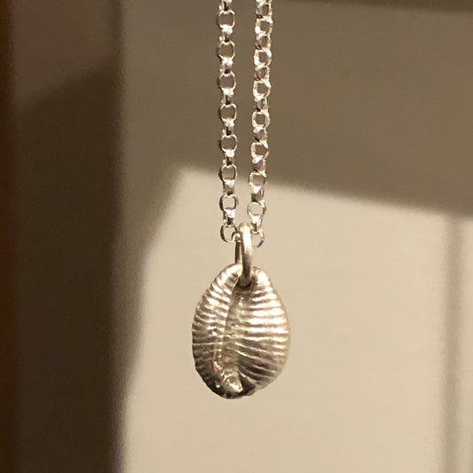 Silver Cowrie Shell
