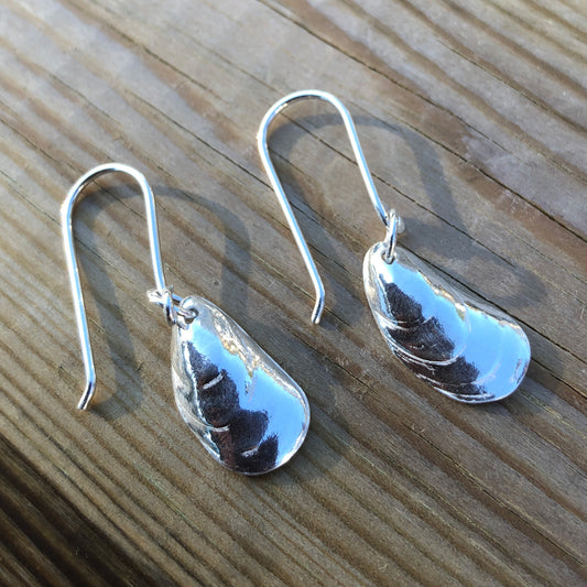 Small Polzeath Mussel drop earrings